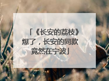 《长安的荔枝》爆了，长安的同款竟然在宁波