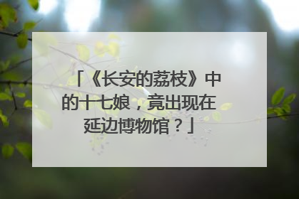 《长安的荔枝》中的十七娘，竟出现在延边博物馆？