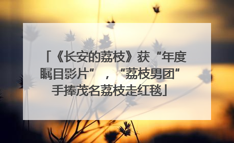 《长安的荔枝》获“年度瞩目影片”，“荔枝男团”手捧茂名荔枝走红毯