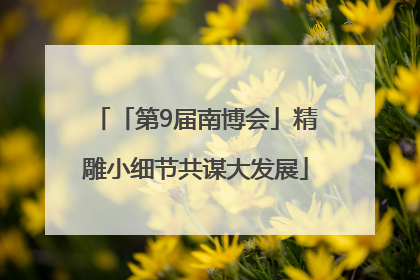 「第9届南博会」精雕小细节共谋大发展