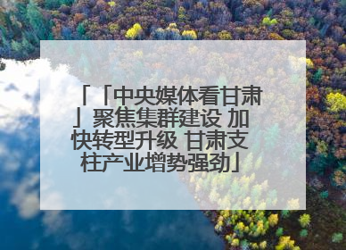 「中央媒体看甘肃」聚焦集群建设 加快转型升级 甘肃支柱产业增势强劲