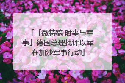 「微特稿·时事与军事」德国总理批评以军在加沙军事行动