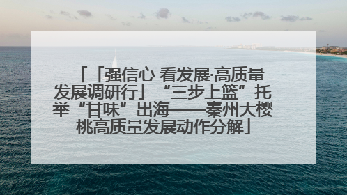 「强信心 看发展·高质量发展调研行」“三步上篮”托举“甘味”出海——秦州大樱桃高质量发展动作分解