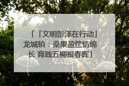 「文明彭泽在行动」龙城镇：桑果盈筐情绵长 育践五柳报春晖
