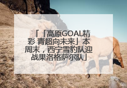 「高原GOAL精彩 青超向未来」本周末，西宁雪豹队迎战果洛格萨尔队