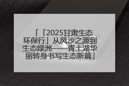 「2025甘肃生态环保行」从风沙之源到生态绿洲——青土湖华丽转身书写生态新篇