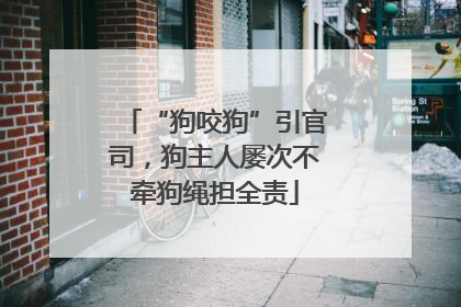 “狗咬狗”引官司，狗主人屡次不牵狗绳担全责