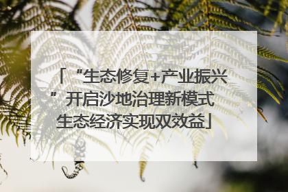 “生态修复+产业振兴”开启沙地治理新模式 生态经济实现双效益