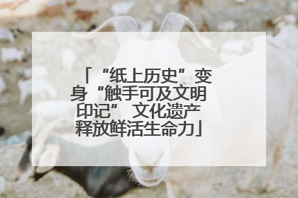 “纸上历史”变身“触手可及文明印记” 文化遗产释放鲜活生命力