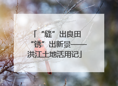 “缝”出良田 “锈”出新景——洪江土地活用记