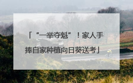 “一举夺魁”！家人手捧自家种植向日葵送考