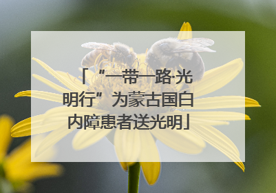 “一带一路·光明行”为蒙古国白内障患者送光明
