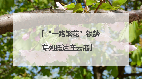 “一路繁花”银龄专列抵达连云港