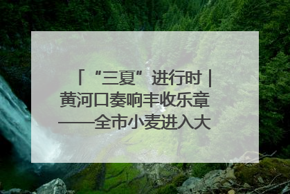 “三夏”进行时｜黄河口奏响丰收乐章——全市小麦进入大面积收获高峰期