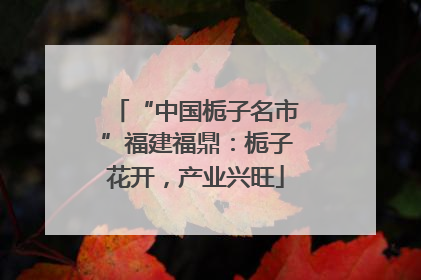 “中国栀子名市”福建福鼎：栀子花开，产业兴旺