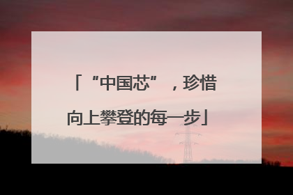 “中国芯”，珍惜向上攀登的每一步