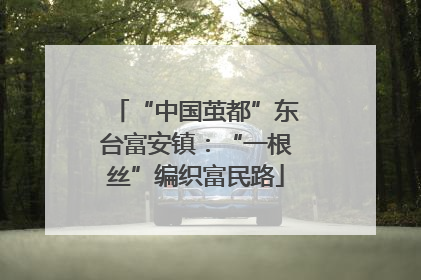 “中国茧都”东台富安镇：“一根丝”编织富民路