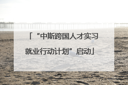 “中斯跨国人才实习就业行动计划”启动