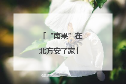“南果”在北方安了家