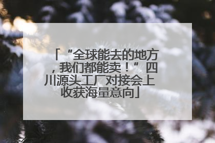 “全球能去的地方，我们都能卖！”四川源头工厂对接会上收获海量意向