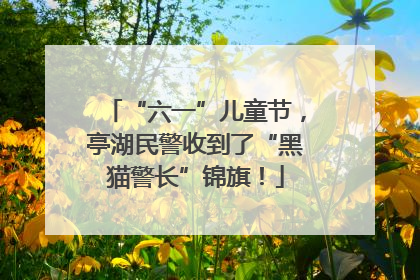 “六一”儿童节，亭湖民警收到了“黑猫警长”锦旗！