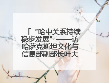 “哈中关系持续稳步发展”——访哈萨克斯坦文化与信息部副部长叶夫根尼·科切托夫