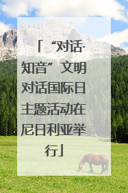 “对话·知音”文明对话国际日主题活动在尼日利亚举行