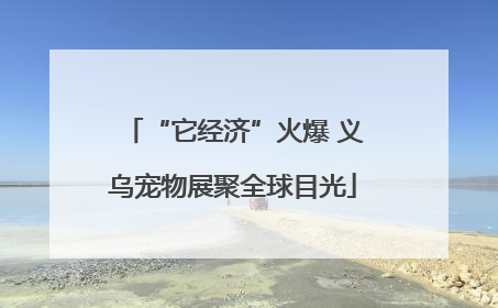 “它经济”火爆 义乌宠物展聚全球目光