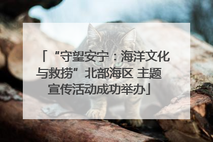 “守望安宁：海洋文化与救捞”北部海区 主题宣传活动成功举办