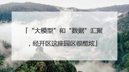 “大模型”和“数据”汇聚，经开区这座园区很酷炫