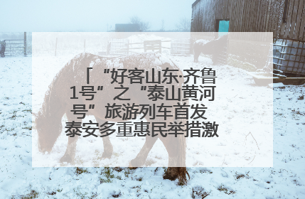 “好客山东·齐鲁1号”之“泰山黄河号”旅游列车首发 泰安多重惠民举措激活文旅消费新动能