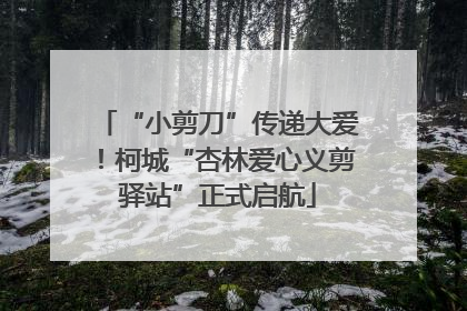 “小剪刀”传递大爱！柯城“杏林爱心义剪驿站”正式启航
