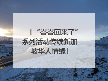 “峇峇回来了”系列活动传续新加坡华人情缘