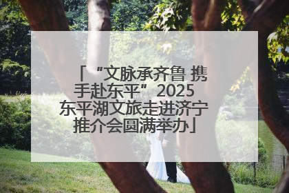 “文脉承齐鲁 携手赴东平”2025东平湖文旅走进济宁推介会圆满举办