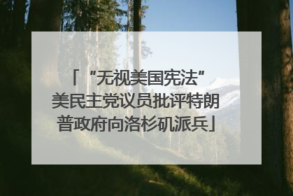 “无视美国宪法” 美民主党议员批评特朗普政府向洛杉矶派兵