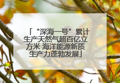 “深海一号”累计生产天然气超百亿立方米 海洋能源新质生产力蓬勃发展
