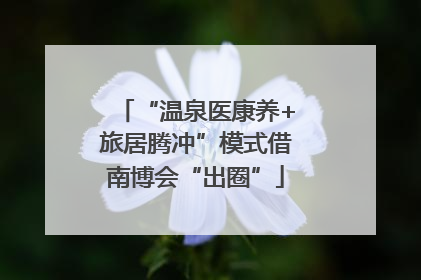 “温泉医康养+旅居腾冲”模式借南博会“出圈”