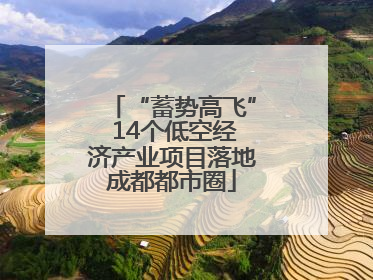 “蓄势高飞” 14个低空经济产业项目落地成都都市圈
