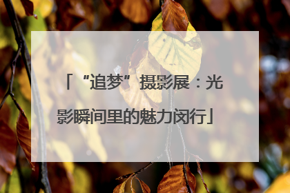 “追梦”摄影展：光影瞬间里的魅力闵行