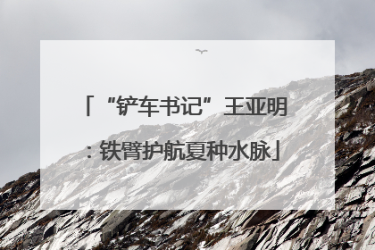 “铲车书记”王亚明：铁臂护航夏种水脉