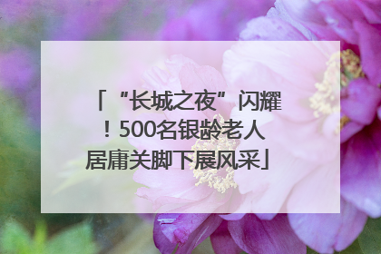 “长城之夜”闪耀！500名银龄老人居庸关脚下展风采
