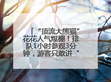 “顶流大熊猫”花花人气爆棚！排队1小时参观3分钟，游客只敢讲“悄悄话”