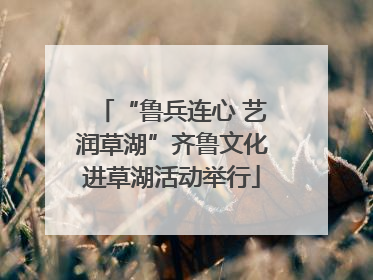 “鲁兵连心 艺润草湖”齐鲁文化进草湖活动举行
