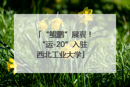 “鲲鹏”展翼！“运-20”入驻西北工业大学