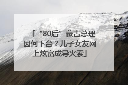 “80后”蒙古总理因何下台？儿子女友网上炫富成导火索