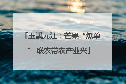 玉溪元江：芒果“爆单” 联农带农产业兴