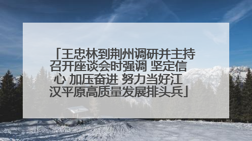 王忠林到荆州调研并主持召开座谈会时强调 坚定信心 加压奋进 努力当好江汉平原高质量发展排头兵