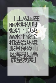 王成国在丽水调研时强调：以更高水平安全和法治环境服务保障山区海岛县高质量发展