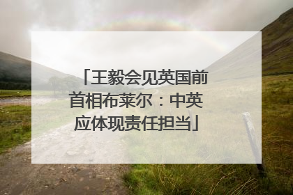 王毅会见英国前首相布莱尔：中英应体现责任担当