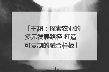 王超：探索农业的多元发展路径 打造可复制的融合样板